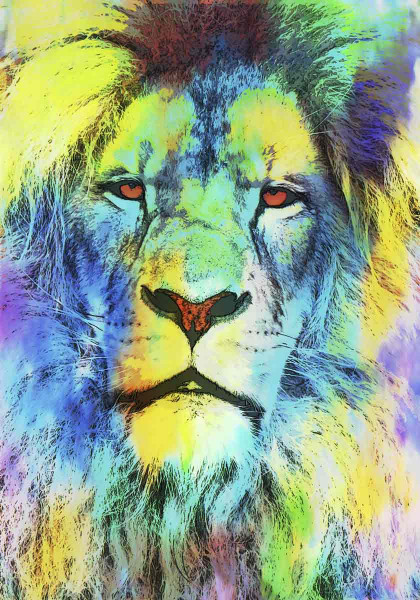 Tierbild Panthera Leo 70x100 Alu & Leinwand