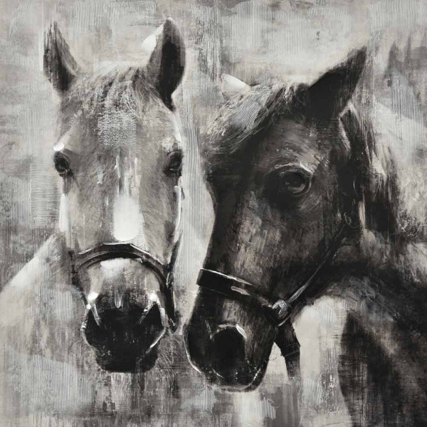 Druck: Horses 80x80