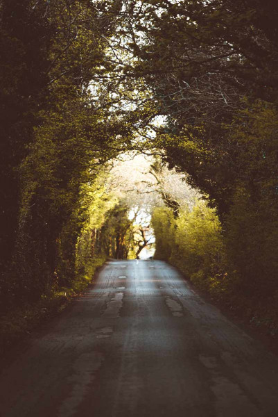 Fotografie: Spaziergang 70x100